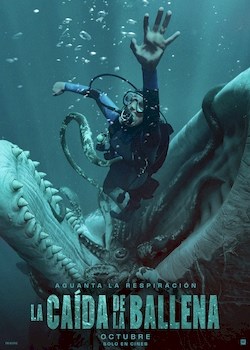 CAIDA DE LA BALLENA